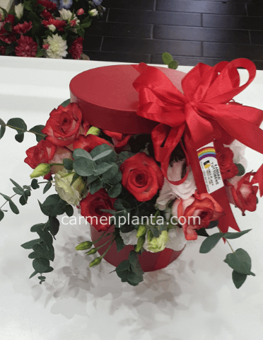 flower box red BASE